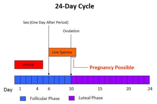 Can You Get Pregnant Right After Your Period Know In Detail